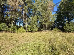 Prodej pozemku pro bydlení, Přimda - Újezd pod Přimdou, 904 m2