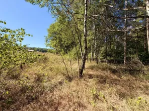 Prodej pozemku pro bydlení, Přimda - Újezd pod Přimdou, 904 m2