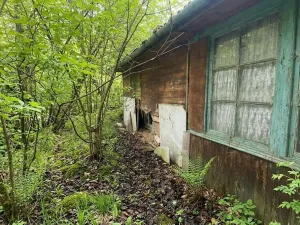Prodej lesa, Štíty, 373 m2