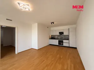 Pronájem bytu 2+kk, Ostrava, Velká, 58 m2