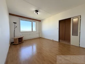 Pronájem bytu 1+1, Plzeň, Ledecká, 30 m2