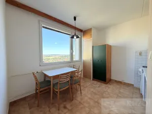 Pronájem bytu 1+1, Plzeň, Ledecká, 30 m2