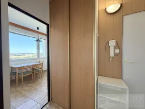 Pronájem bytu 1+1, Plzeň, Ledecká, 30 m2