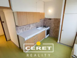 Prodej bytu 2+1, Žatec, Podměstí, 54 m2