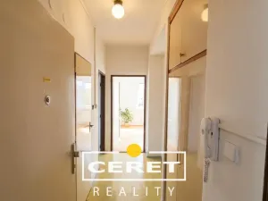 Prodej bytu 2+1, Žatec, Podměstí, 54 m2
