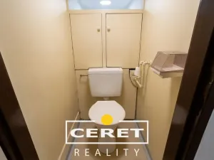 Prodej bytu 2+1, Žatec, Podměstí, 54 m2