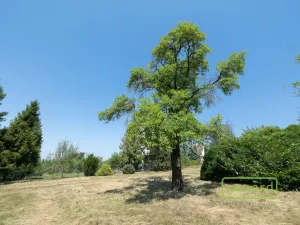 Prodej pozemku pro bydlení, Dolany, 900 m2