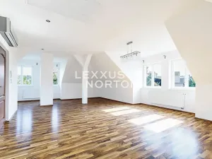 Pronájem vily, Praha - Smíchov, Fráni Šrámka, 413 m2