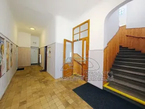Pronájem kanceláře, České Budějovice, Kanovnická, 210 m2