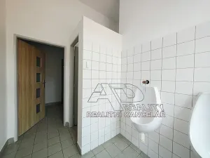 Pronájem kanceláře, České Budějovice, Kanovnická, 210 m2