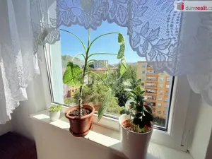Pronájem bytu 3+1, Ústí nad Labem - Krásné Březno, Neštěmická, 68 m2