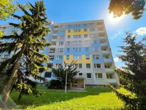 Pronájem pokoje, Olomouc, Lazecká, 12 m2
