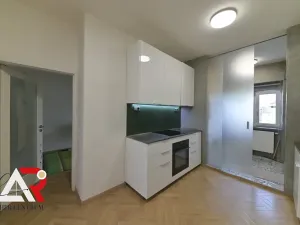 Prodej bytu 2+1, Brno, Merhautova, 63 m2