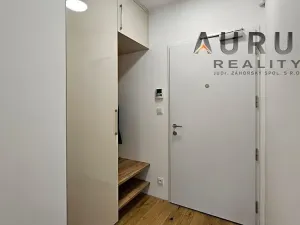 Pronájem bytu 2+kk, Praha - Nusle, Bělehradská, 60 m2