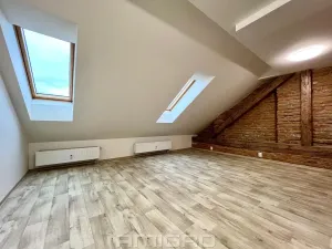 Pronájem bytu 1+kk, Brno, Bašty, 34 m2