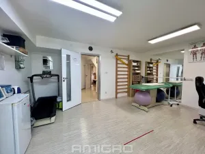 Pronájem komerční nemovitosti, Brno, Skopalíkova, 60 m2