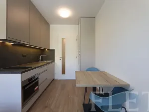 Pronájem bytu 1+kk, Praha - Holešovice, V háji, 30 m2