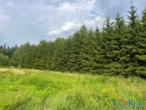 Prodej lesa, Stařeč, Horní, 15237 m2