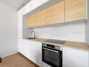 Pronájem bytu 1+kk, Praha - Karlín, Březinova, 38 m2