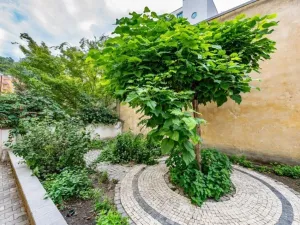 Pronájem bytu 1+kk, Praha - Karlín, Březinova, 38 m2