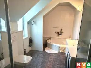 Prodej rodinného domu, Plzeň, Dělnická, 250 m2