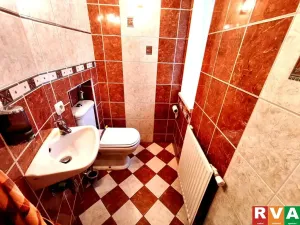 Prodej rodinného domu, Plzeň, Dělnická, 250 m2