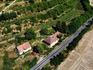 Prodej rodinného domu, Dolní Beřkovice, 337 m2