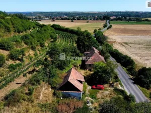 Prodej rodinného domu, Dolní Beřkovice, 337 m2