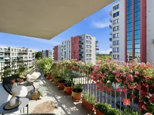 Prodej bytu 3+kk, Pardubice - Zelené Předměstí, Pod Vinicí, 78 m2