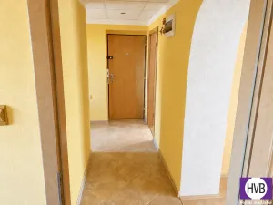Prodej bytu 3+1, Březová, Okružní, 68 m2