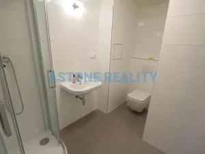 Pronájem bytu 1+kk, Praha - Hostavice, U Hostavického potoka, 39 m2