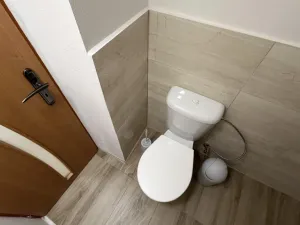 Pronájem bytu 2+1, Kochánky, 40 m2