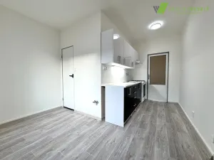 Prodej bytu 2+1, Brno, Olbrachtovo náměstí, 58 m2