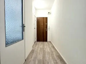 Prodej bytu 2+1, Brno, Olbrachtovo náměstí, 58 m2