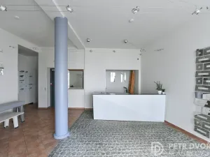 Prodej bytu 1+1, Praha - Smíchov, U Pernikářky, 27 m2