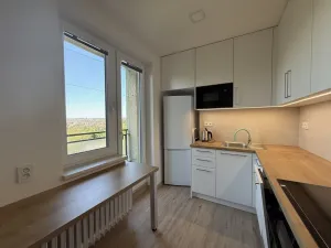 Pronájem bytu 2+1, Brno - Židenice, Došlíkova, 49 m2