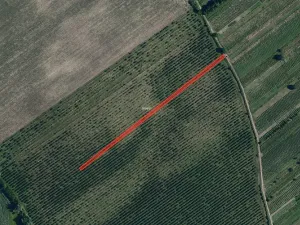 Prodej sadu/vinice, Prušánky, 2179 m2