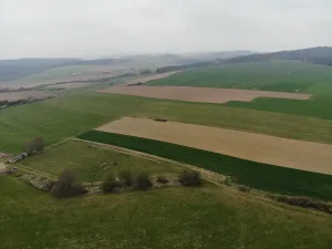 Prodej pozemku, Zvěstov, 8999 m2