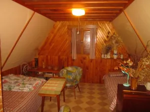 Dražba chaty, Mladošovice, 49 m2