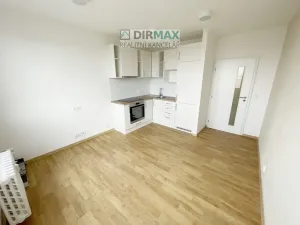 Pronájem bytu 1+kk, Plzeň - Lobzy, Sousedská, 20 m2