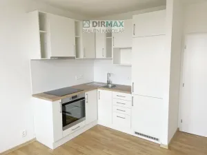 Pronájem bytu 1+kk, Plzeň - Lobzy, Sousedská, 20 m2