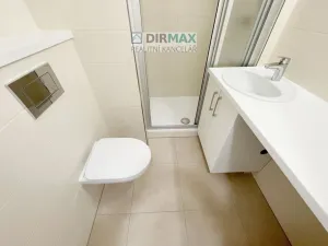 Pronájem bytu 1+kk, Plzeň - Lobzy, Sousedská, 20 m2