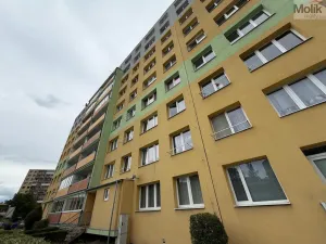 Pronájem kanceláře, Most, Růžová, 55 m2