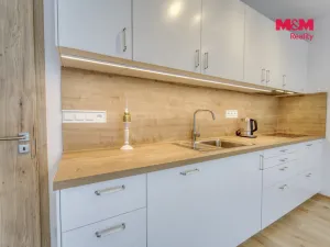 Pronájem bytu 1+kk, Plzeň, Měděná, 41 m2