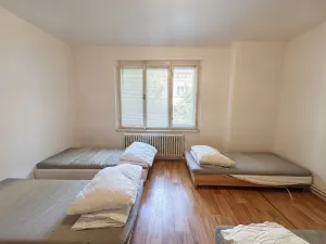 Pronájem činžovního domu, Plzeň, Mánesova, 305 m2