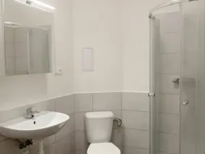 Pronájem bytu 1+kk, Ostrava - Přívoz, Palackého, 33 m2