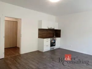 Pronájem bytu 1+kk, Ostrava - Přívoz, Palackého, 33 m2