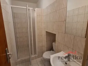 Pronájem bytu 1+kk, Opava - Předměstí, Olbrichova, 30 m2