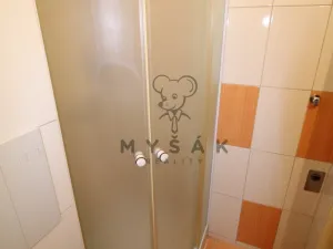 Pronájem bytu 1+kk, Český Krumlov - Nádražní Předměstí, Vyšehrad, 23 m2