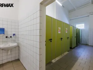 Pronájem výrobních prostor, Chodová Planá, Kyjovská, 2489 m2